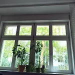 Garden Apartment